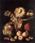 RUOPPOLO, Giovanni Battista Fruit Still-Life dg Norge oil painting reproduction